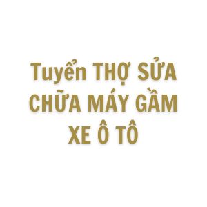 THỢ SỬA CHỮA MÁY GẦM XE Ô TÔ